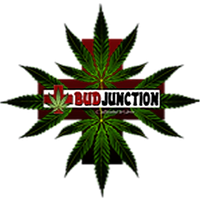 Bud Junction