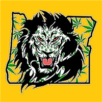 Portland Dispensary - Weed Land