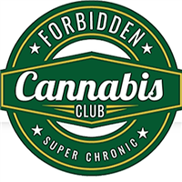 Olympia - Forbidden Cannabis Club