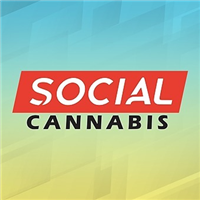Social Cannabis - Golden