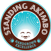 Standing Akimbo
