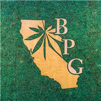 Berkeley Patients Group