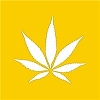 Coastal Dispensary - West LA