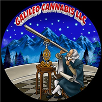 Galileo Cannabis LLC